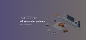 IoT system for pet care