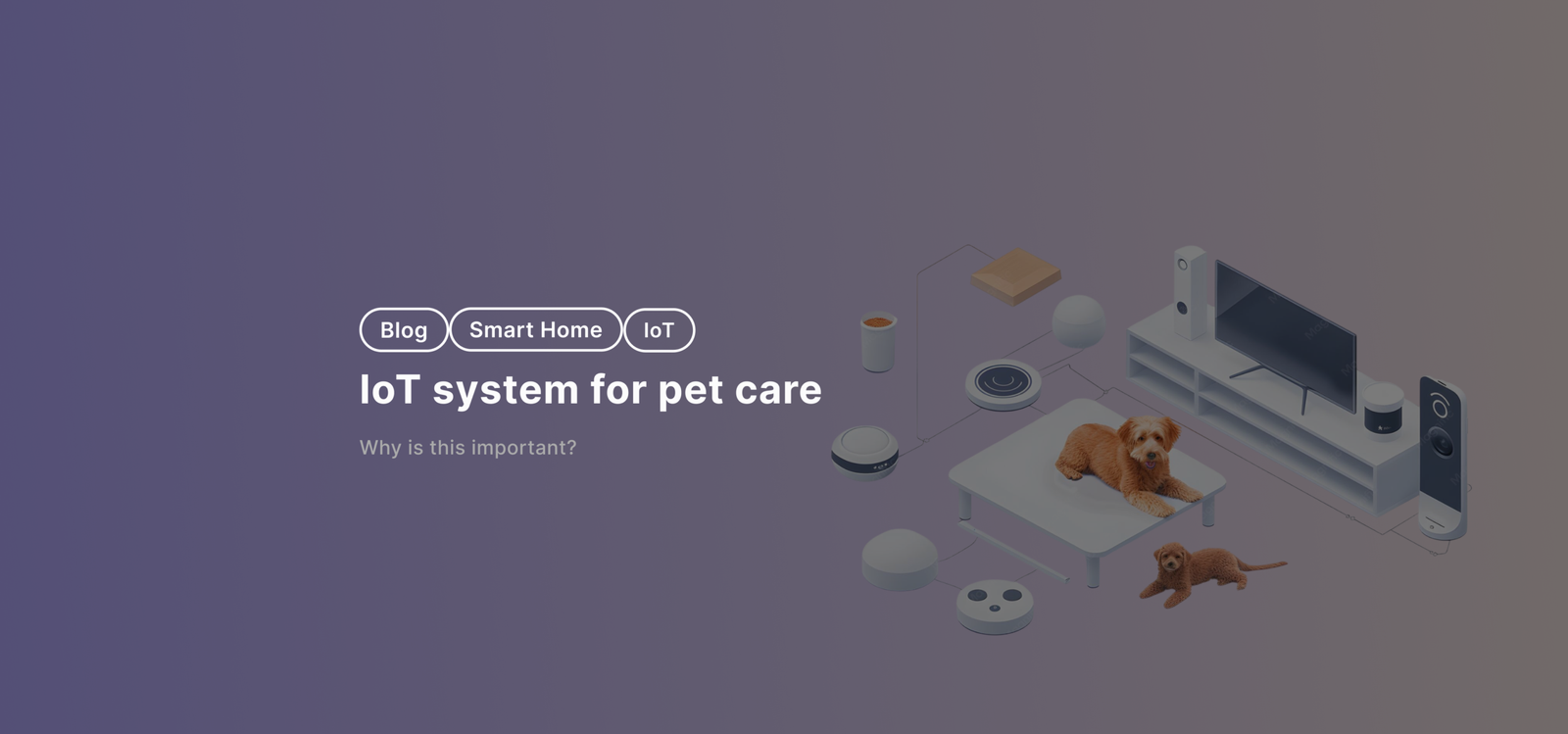 IoT system for pet care